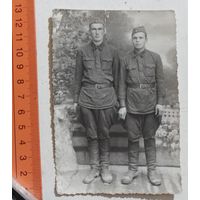 Фото в коллекцию