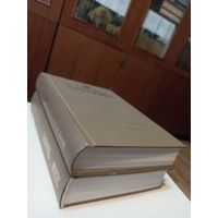 Памяць. Гист.-дакум. хроника Вицебска.  У 2-х книгах.