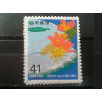 Япония, 1993. Цветы кораллового дерева