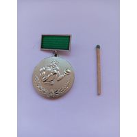 Бокс. Чемпионат Ленинграда. 1973год. 3 место.