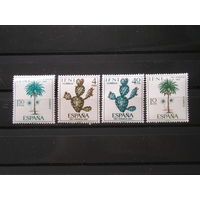 Испанская Ифни 1967 Флора