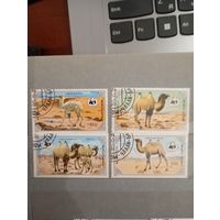 Фауна на почтовых марках