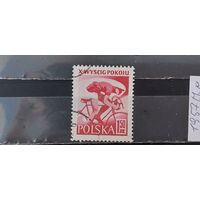 РАСПРОДАЖА ПОЛЬША 1957г. Полная серия. Гаш.