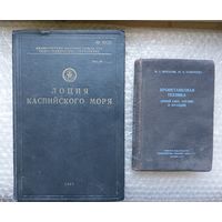 Две нечастые книги С РУБЛЯ.