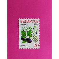 Беларусь. Стандарт. ( 1 марка ) 2004 года. 4-8.
