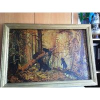 Картина г.50х масло Утро в лесу, Мишки в сосновом бору (копия)