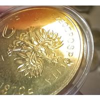 2 злотых 2012 год,  БРАК  " Чемпионат Европы по футболу 2012 "