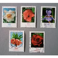 Цветы. Стандарты. Германия.