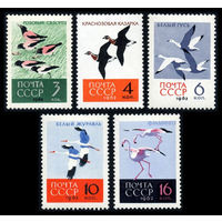 СССР. 1962. Фауна. Птицы
