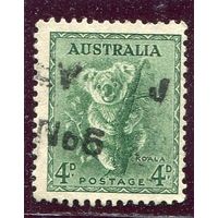 Австралия. Стандарт. Фауна. Коала