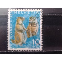Швейцария 1965 Фауна