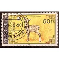 Монголия 1984. Лесной олень. Cervus Elaphus. Марка из серии