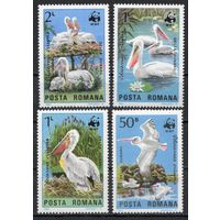 Румыния 1984. WWF Фауна Птицы пеликаны 4 марки 4104