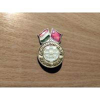 Футбол Кубок УЕФА Динамо Москва Вац