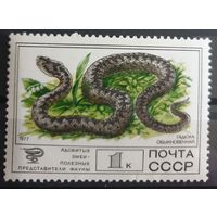 1977 Фауна СССР