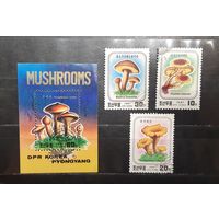 Корея. 1987 год. Флора. Грибы (980)