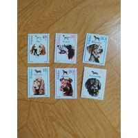 Польша серия марок 1989 г. Собаки