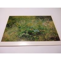 Открытка. И. И. Шишкин Травки