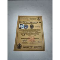 Сертификат по каратэ с погоней.
