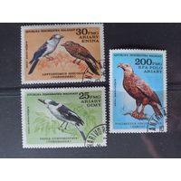 Мадагаскар.1982. Птицы.