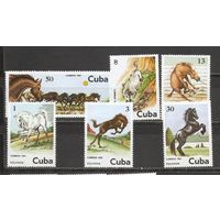 ФФ1 Куба 1981 Лошади