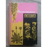 Лекарственные растения - дикорастущие.