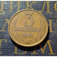 3 копейки 1981 СССР #15