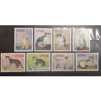 Вьетнам. 1979 год. Фауна. Кошки (731)