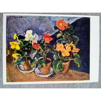 Кончаловский. Цветы (Бегонии)