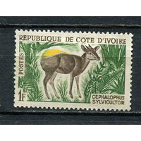 Кот-д 'Ивуар - 1964 - Фауна. Желтоспинный дукер 1F - [Mi.259] - 1 марка. MH.  (Лот 36HS)-TG3P11