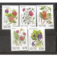 ФФ1 Россия 1998 Цветы