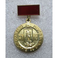 Советский комитет ветеранов войны 25 лет