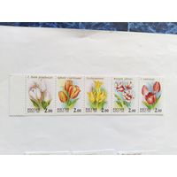Россия  2001  5 м  сц.