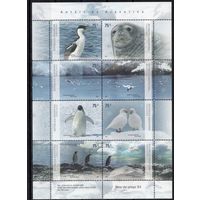 Аргентина 2007. Фауна. Птицы пингвин тюлень. Малый лист 3118