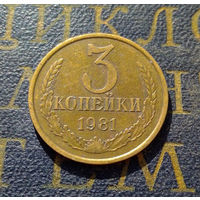 3 копейки 1981 СССР #19