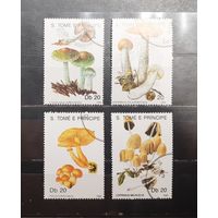 Сен Томе и Принсипи. 1990 год. Флора. Грибы (982)