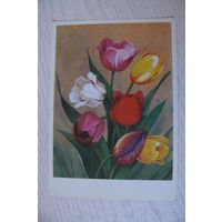 Ряховский Ю., Тюльпаны; 1976, подписана.