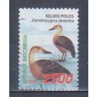[737] Индонезия 1998. Фауна.Птицы.Утки.2500р. Гашеная марка.