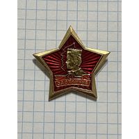 Знак За ОТЛИЧИЕ. Пионерия.