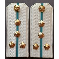 Погоны белые (таможня, 1 полоска, тип 2, 118x50 мм)