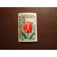 Иран  1979 г.Слово "тюльпан"образовано от слов "Бог" и "Исламская республика"./31а/