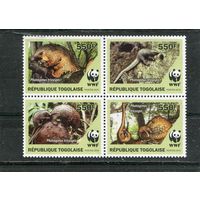 Того. Фауна. Белобрюхий ящер. Квартблок