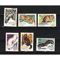 СССР 1967, фауна, пушные звери, Mi 2,06, С228