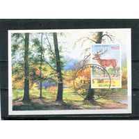 Беларусь 1995.. Фауна. Блок