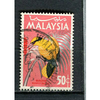 Малайзия - 1965 - Птицы. Китайская черноголовая иволга 50С - [Mi.21] - 1 марка. Гашеная.  (Лот 27Ki)-T9P22