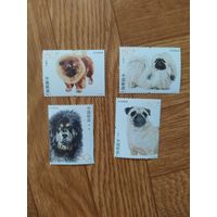 Китай серия марок 2006 г. Собаки