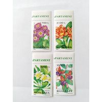 Румыния  2000  4 м  цветы