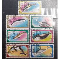 Монголия. 1990 год. Фауна. Киты и дельфины (60)