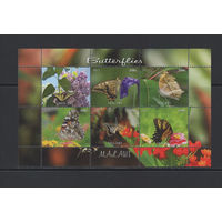 Малави 2012  Бабочки