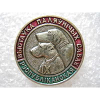 9 Республиканская выставка охотничьих собак.